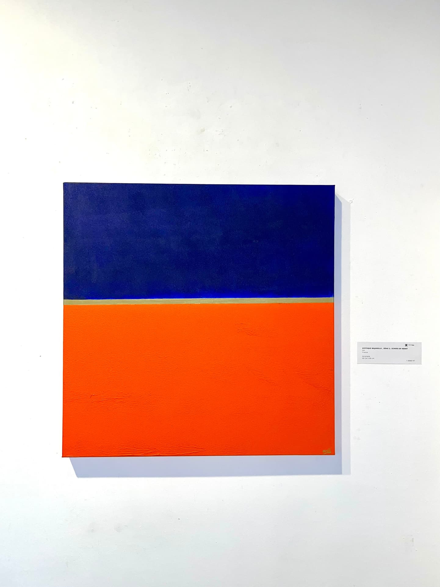 Dyptique Majorelle